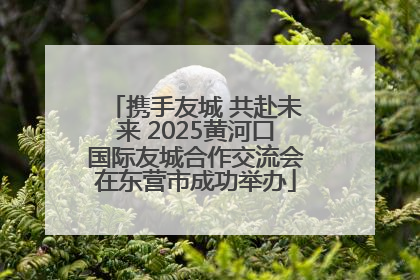 携手友城 共赴未来 2025黄河口国际友城合作交流会在东营市成功举办
