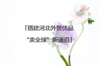 搭建河北外贸优品“卖全球”新通道