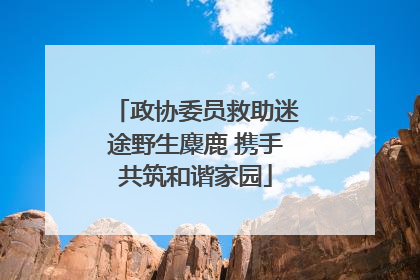 政协委员救助迷途野生麋鹿 携手共筑和谐家园