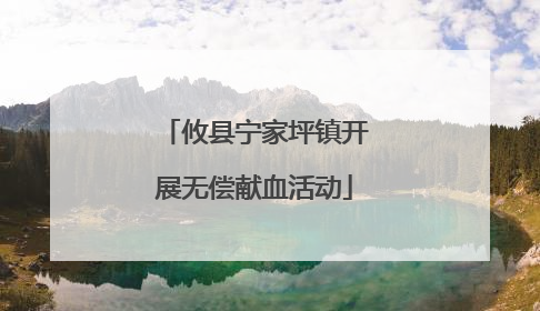 攸县宁家坪镇开展无偿献血活动