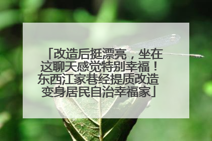 改造后挺漂亮，坐在这聊天感觉特别幸福！东西江家巷经提质改造变身居民自治幸福家