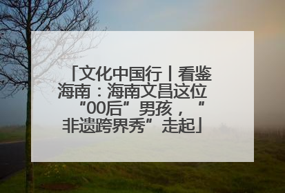 文化中国行丨看鉴海南：海南文昌这位“00后”男孩，“非遗跨界秀”走起