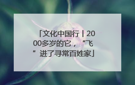 文化中国行丨2000多岁的它，“飞”进了寻常百姓家