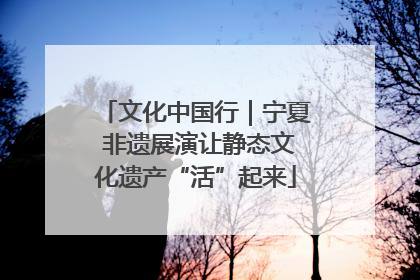 文化中国行｜宁夏 非遗展演让静态文化遗产“活”起来