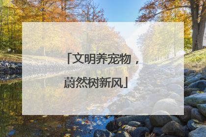 文明养宠物，蔚然树新风