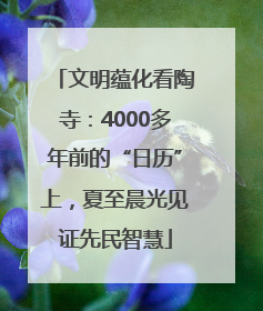 文明蕴化看陶寺：4000多年前的“日历”上，夏至晨光见证先民智慧