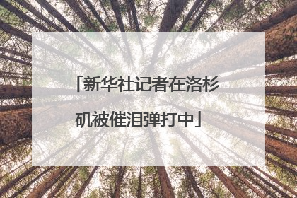 新华社记者在洛杉矶被催泪弹打中