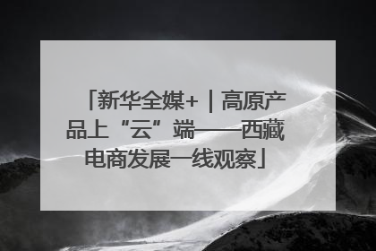新华全媒+｜高原产品上“云”端——西藏电商发展一线观察