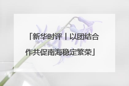 新华时评丨以团结合作共促南海稳定繁荣