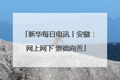 新华每日电讯丨安徽：网上网下 崇德向善