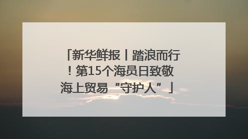 新华鲜报丨踏浪而行！第15个海员日致敬海上贸易“守护人”