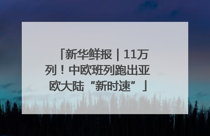 新华鲜报｜11万列！中欧班列跑出亚欧大陆“新时速”