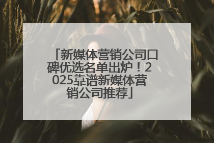 新媒体营销公司口碑优选名单出炉！2025靠谱新媒体营销公司推荐