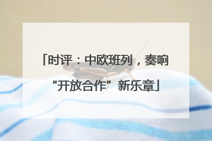 时评：中欧班列，奏响“开放合作”新乐章