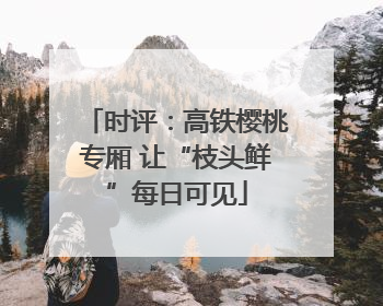 时评：高铁樱桃专厢 让“枝头鲜”每日可见