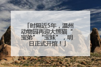 时隔近5年，温州动物园再迎大熊猫“宝弟”“宝妹”，明日正式开馆！