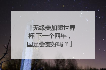 无缘美加墨世界杯 下一个四年，国足会变好吗？