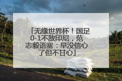 无缘世界杯！国足0-1不敌印尼，范志毅语塞：早没信心了但不甘心