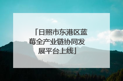 日照市东港区蓝莓全产业链协同发展平台上线