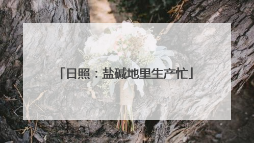 日照：盐碱地里生产忙
