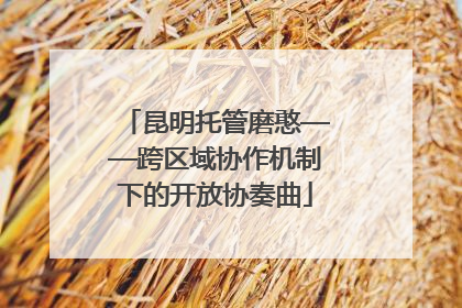 昆明托管磨憨——跨区域协作机制下的开放协奏曲