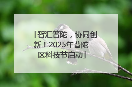 智汇普陀，协同创新！2025年普陀区科技节启动