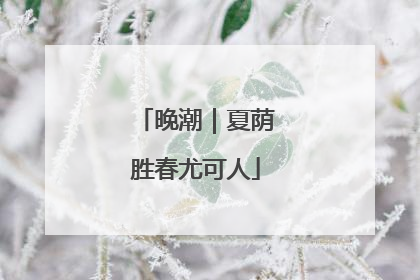 晚潮｜夏荫胜春尤可人