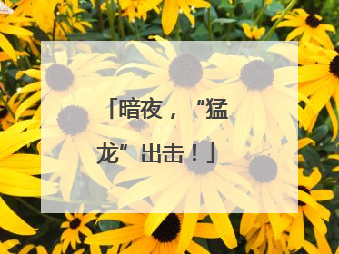 暗夜，“猛龙”出击！