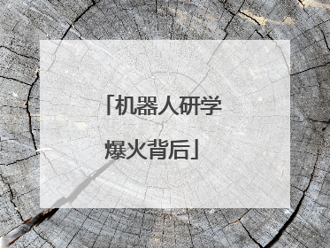 机器人研学爆火背后