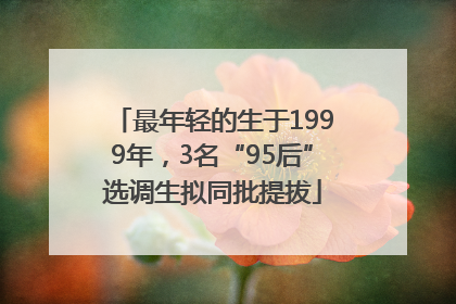 最年轻的生于1999年，3名“95后”选调生拟同批提拔