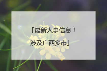最新人事信息！涉及广西多市