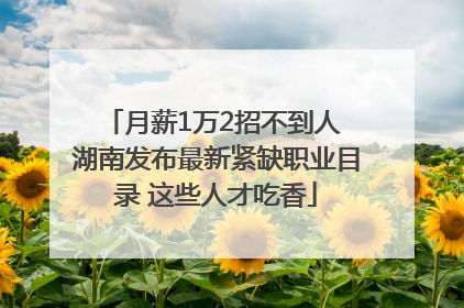 月薪1万2招不到人 湖南发布最新紧缺职业目录 这些人才吃香
