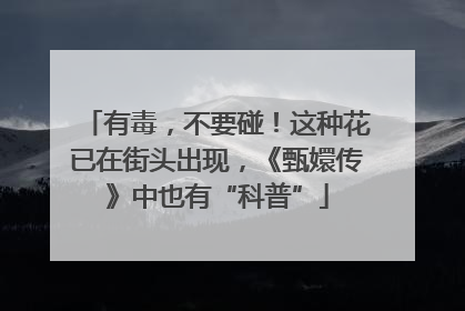 有毒，不要碰！这种花已在街头出现，《甄嬛传》中也有“科普”