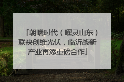 朝曦时代（曜灵山东）联袂创维光伏，临沂战新产业再添重磅合作