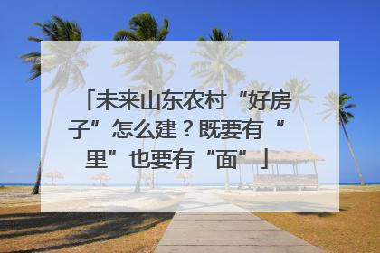 未来山东农村“好房子”怎么建？既要有“里”也要有“面”