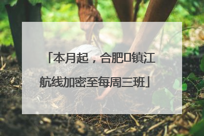 本月起，合肥⇋镇江航线加密至每周三班
