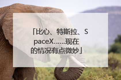 比心、特斯拉、SpaceX……现在的情况有点微妙