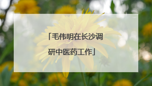 毛伟明在长沙调研中医药工作