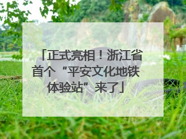 正式亮相！浙江省首个“平安文化地铁体验站”来了