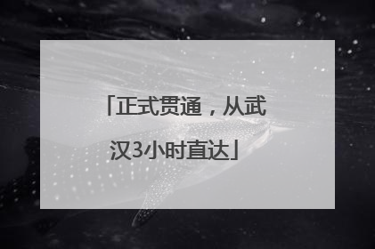 正式贯通，从武汉3小时直达