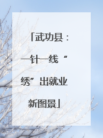 武功县：一针一线“绣”出就业新图景