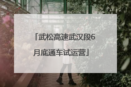 武松高速武汉段6月底通车试运营