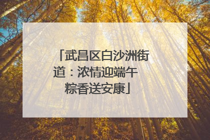 武昌区白沙洲街道：浓情迎端午 粽香送安康