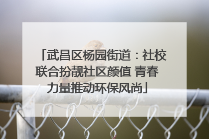 武昌区杨园街道：社校联合扮靓社区颜值 青春力量推动环保风尚