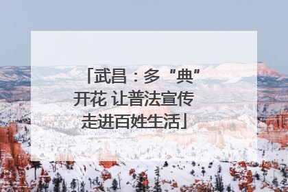 武昌：多“典”开花 让普法宣传走进百姓生活