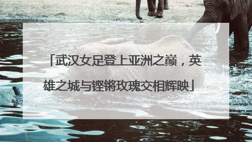 武汉女足登上亚洲之巅，英雄之城与铿锵玫瑰交相辉映