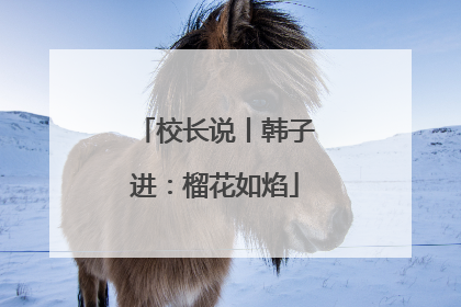 校长说丨韩子进：榴花如焰