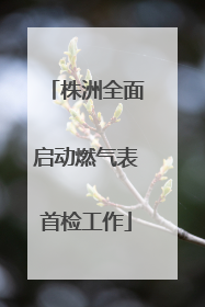 株洲全面启动燃气表首检工作