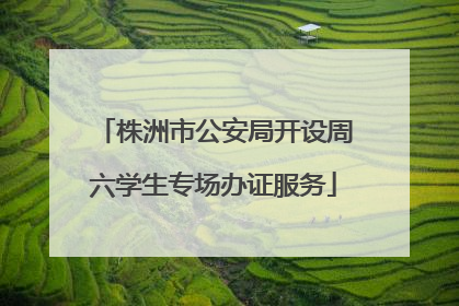 株洲市公安局开设周六学生专场办证服务