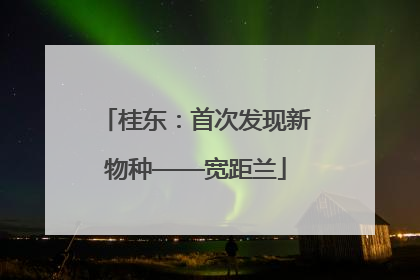 桂东：首次发现新物种——宽距兰